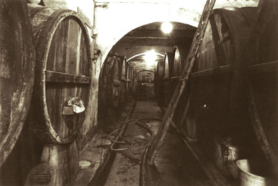 the cellars