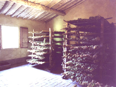 Farm's rooftops